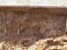ROCKDETAIL1