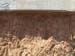 ROCKDETAIL2