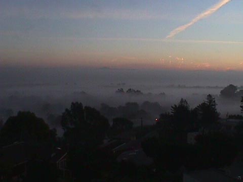 View04