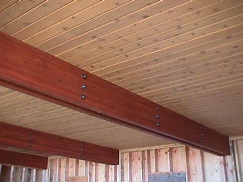 Cedar01