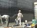 Shotcrete02