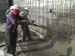 Shotcrete09