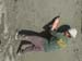 Shotcrete11